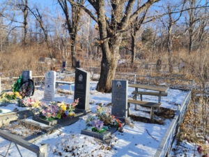 Стульцева Галина Анатольевна