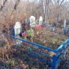 Модженок Александр Петрович