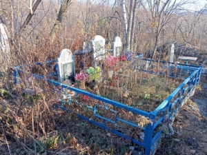 Модженок Петр Анреевич