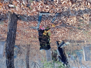 Евсюкова Прасковья Ивановна