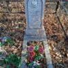 Давлетшина Т Д