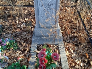 Давлетшина Т Д