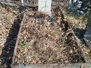 Марова Антонина Дмитриевна