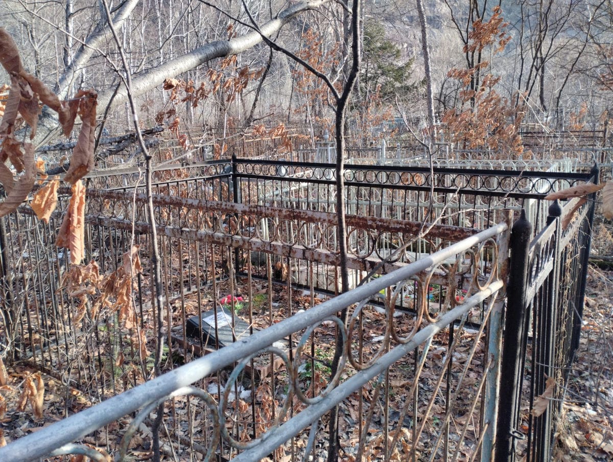 76710918-f331-489e-ba2d-72111a582ebf Деревянко Зинаида Никитична