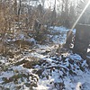 Сигеневич Надежда Федоровна