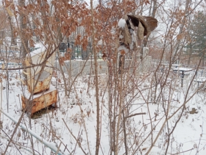 Васильев Александр Юрьевич