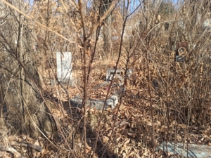 Зотов Семен Ефимович