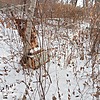 Неизвестно Неизвестно Неизвестно