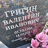 Григин Валентин Иванович