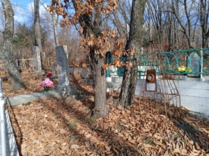 779a9d81-2015-4f52-8329-0380c657d328 Ашихмина Вера Ивановна