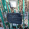 Голубева Нина Михайловна
