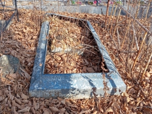 78c60a02-a4db-4d3c-ab3c-2466fe235639 Неизвестно Неизвестно Неизвестно