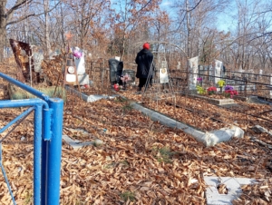 Шарпилова Анфиса Тимофеевна