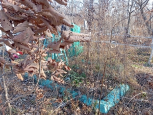 Мадан Елена Степановна