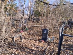 79483fc0-0fe5-4ea9-ab33-81335e8ec767 Андреева Евдокия Ефремовна