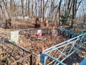 Гомова Елена Валерьевна