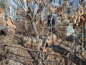 Клевова Клавдия Павловна