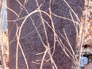 Неизвестно Неизвестно Неизвестно