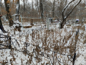 7a6dfefe-df17-46db-932f-30aa5dc85414 Морозов Сергей Иванович