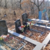 Медолазова Александра Кирилловна