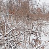 Неизвестно Неизвестно Неизвестно