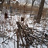 Неизвестно Неизвестно Неизвестно