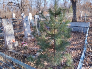 7c0e6c3f-26dd-4b1d-8adf-cfd93df58fc9 Грицун Наталья Ивановна