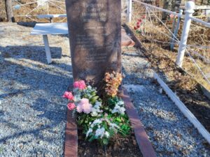 Шишкина Елена Николаевна