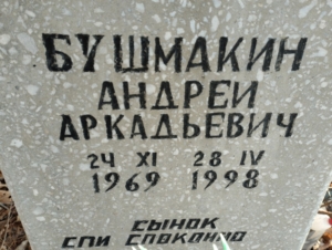 7d134025-ccf2-4325-95a3-2b42e45d61c7 Бушмакин Андрей Аркадьевич