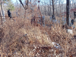 Смычкова Анна Петровна