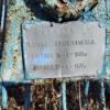 Чащина Марина Лаврентьевна