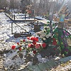 Моисеев Сергей Николаевич