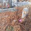 Шевелев Петр Владимирович