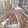 Борисоглебский Константин Константинович