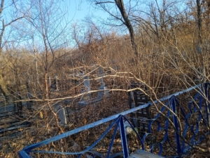 Курятникова Валентина Михайловна