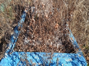 Гончаров Сергей Иванович