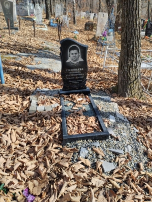 7f432411-c29b-43c4-8e0e-a632137e6d84 Соловьева Людмила Владимировна