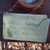 Кочурин Михаил Анисимович