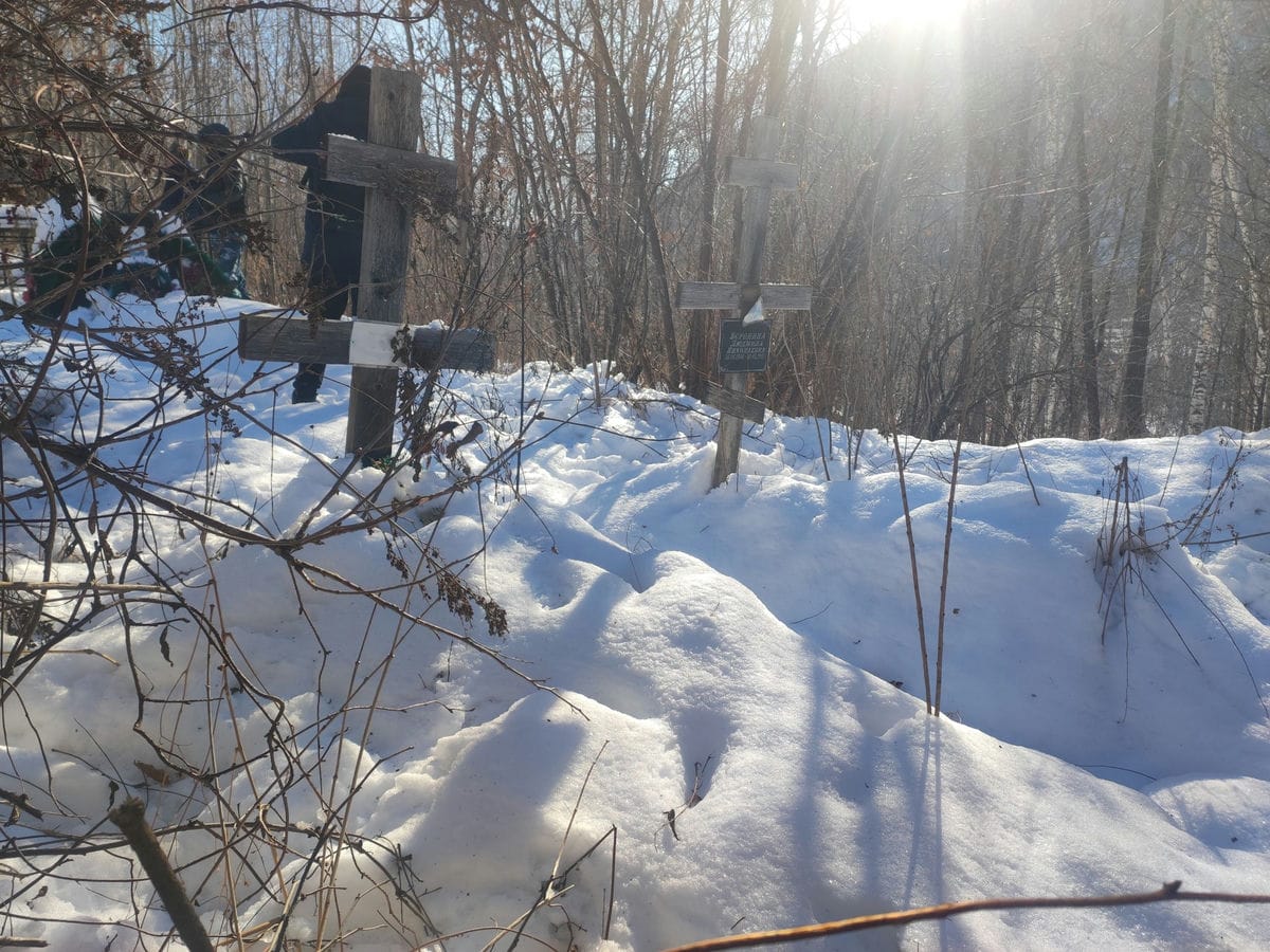 Воронина Людмила Николаевна