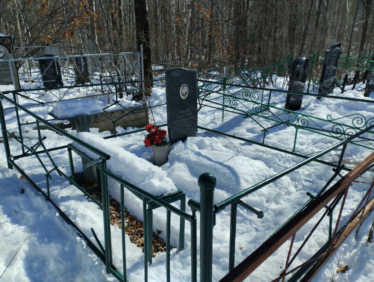 880b37b7-d1a3-4e02-8c53-22b6283f8400 Тюкин Тимофей Григорьевич