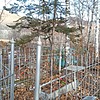 Борисоглебский Константин Константинович