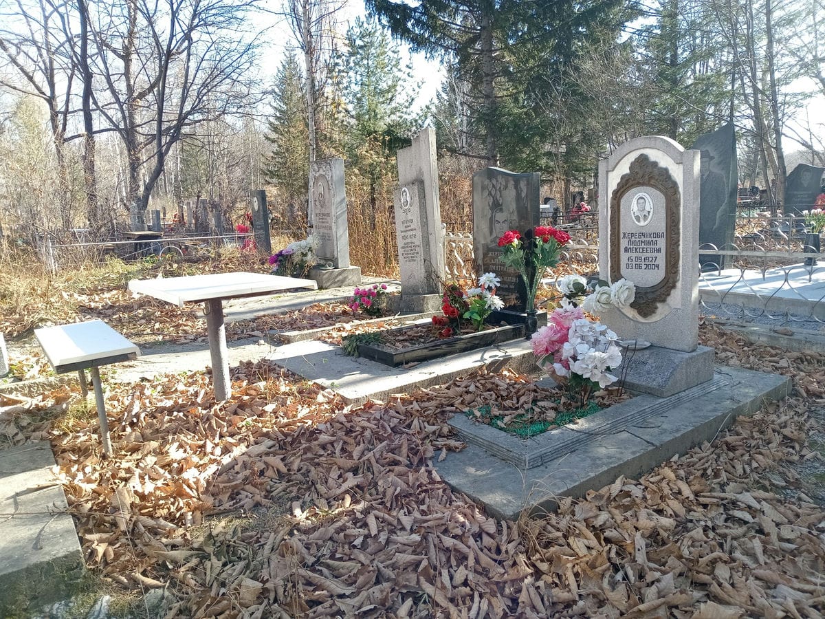 8b28e653-5f43-4d71-8d33-a2d07cf1c2e1 Жеребчиков Александр Дмитриевич