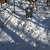 Антипов Сергей Андреевич