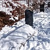 8e2e1af5-9a21-4363-a698-89f0b1fc382c Никитина Галина Станиславовна