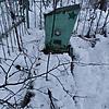 Кирилова Анастасия Матвеевна
