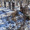 Неизвестно Неизвестно Неизвестно
