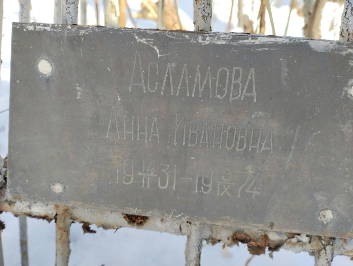 928e19f3-164c-4813-83e8-619db4e28045 Асламова Анна Ивановна