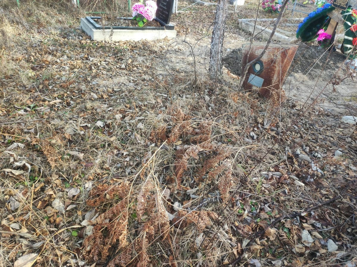 Удовиченко Анатолий Максимович