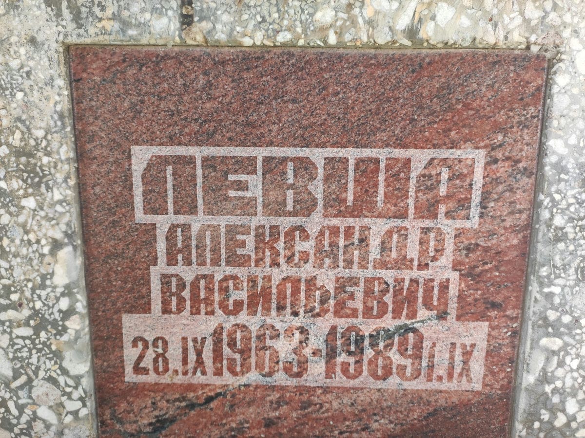 Левша Александр Васильевич