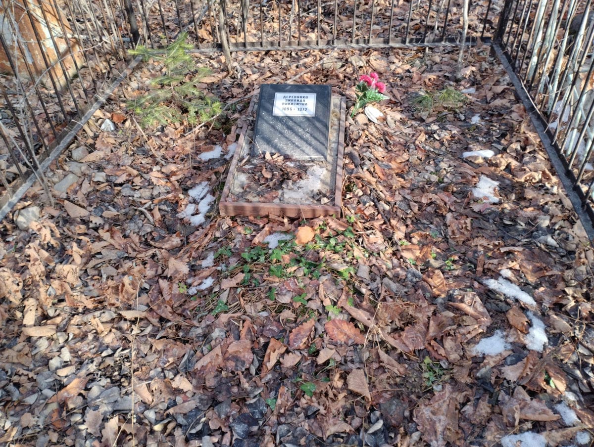 a0a00ad2-8fb7-49fe-b7e3-b7642422373c Деревянко Зинаида Никитична